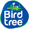 Bird Tree